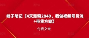 视频号涨粉方法4天涨粉2千多,我做视频号引流 带货方案-追梦分享我爱副业网福缘论坛网赚网中创网创业网