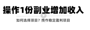 新手如何通过操作副业增加收入,从项目选择到玩法分享!-追梦分享我爱副业网福缘论坛网赚网中创网创业网