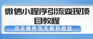 当天就有收益,微信小程序引流变现项目教程,-追梦分享我爱副业网福缘论坛网赚网中创网创业网