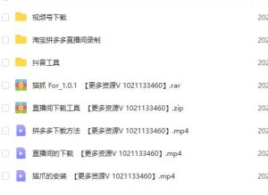 抖音直播间下载工具,直播间采集软件-追梦分享我爱副业网福缘论坛网赚网中创网创业网