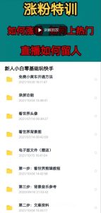 足不出户看世界199元的在家看世界视频号制作 运营课程 快速涨粉变现-追梦分享我爱副业网福缘论坛网赚网中创网创业网