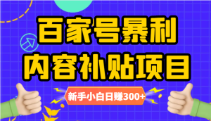 百家号内容补贴项目,图文10元一条,视频30一条,新手小白日赚300-追梦分享我爱副业网福缘论坛网赚网中创网创业网