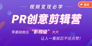 PR剪辑师新手课程:电脑PR创意剪辑,零基础做出“影视级”大片-追梦分享我爱副业网福缘论坛网赚网中创网创业网