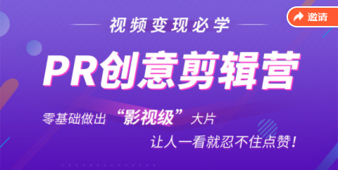 PR剪辑师新手课程：电脑PR创意剪辑，零基础做出“影视级”大片-