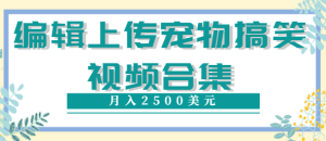 上传宠物搞笑视频,就可以通过YouTvbe月入2500$-追梦分享我爱副业网福缘论坛网赚网中创网创业网