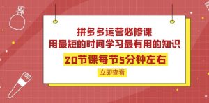 拼多多运营必修课:20节课每节5分钟左右,用最短的时间学习最有用的知识-追梦分享我爱副业网福缘论坛网赚网中创网创业网