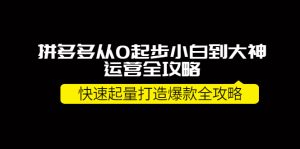 拼多多从0起步小白到大神运营全攻略,快速起量打造10W 爆款全攻略-追梦分享我爱副业网福缘论坛网赚网中创网创业网