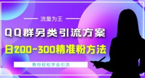 QQ群另类引流方案,半自动操作日200~300精准粉方法【视频教程】-追梦分享我爱副业网福缘论坛网赚网中创网创业网