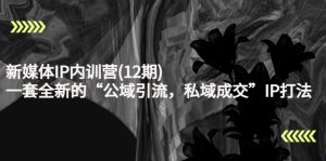 新媒体IP内训营(12期),一套全新的“公域引流,私域成交”IP打法,直接带走-追梦分享我爱副业网福缘论坛网赚网中创网创业网