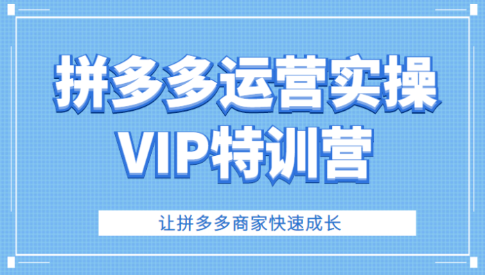 拼多多运营实操VIP特训营,让拼多多商家快速成长-追梦分享我爱副业网福缘论坛网赚网中创网创业网