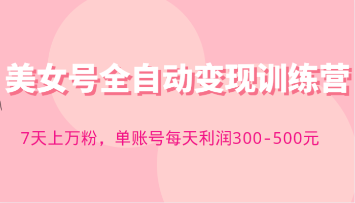 快手美女号全自动变现训练营,7天上万粉,单账号每天利润300-500元-追梦分享我爱副业网福缘论坛网赚网中创网创业网