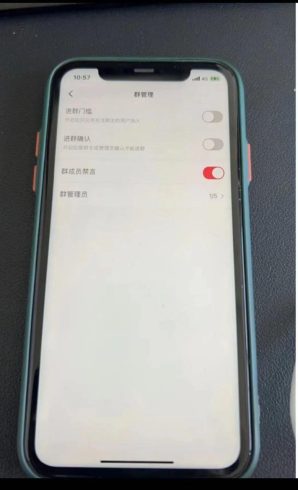 小红书风口项目日入300 ,小红书群聊禁言技术代开项目,适合新手操作-追梦分享我爱副业网福缘论坛网赚网中创网创业网