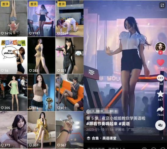 拆解抖音美女记单词视频副业小项目,一条龙玩法大解析(教程 素材)-追梦分享我爱副业网福缘论坛网赚网中创网创业网