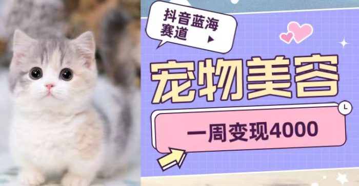 抖音蓝海赛道，宠物美容，一周变现4000-追梦分享我爱副业网福缘论坛网赚网中创网创业网