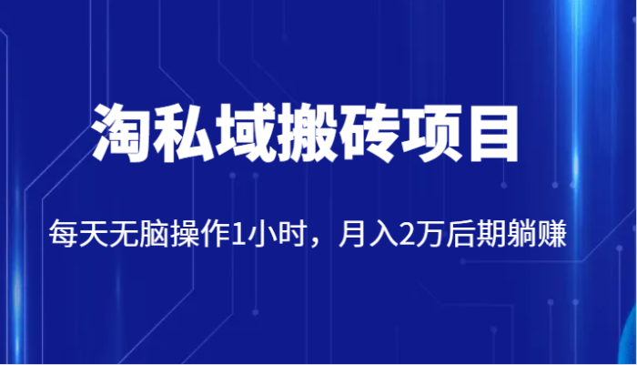 价值2980的淘私域搬砖项目,每天无脑操作1小时,月入2万后期躺赚-追梦分享我爱副业网福缘论坛网赚网中创网创业网