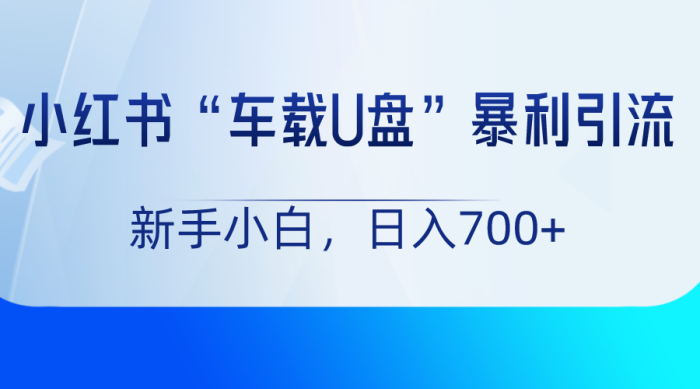 小红书“车载U盘”项目,暴利引流,新手小白轻松日入700-追梦分享我爱副业网福缘论坛网赚网中创网创业网
