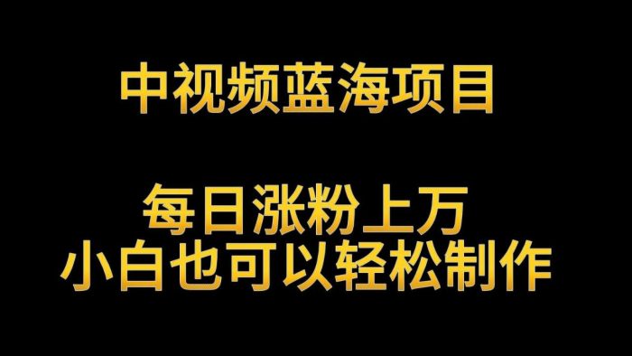 中视频蓝海项目,解读英雄人物生平,每日涨粉上万,小白也可以轻松制作,月入过万-追梦分享我爱副业网福缘论坛网赚网中创网创业网