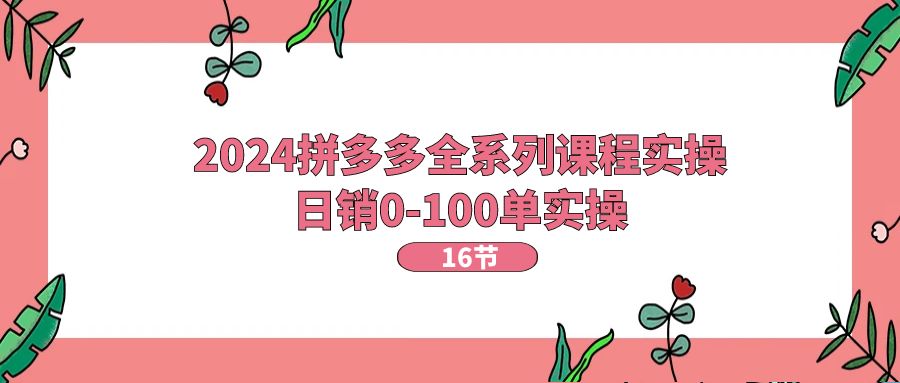 2024拼多多全系列课程实操，日销0-100单实操【16节课】-