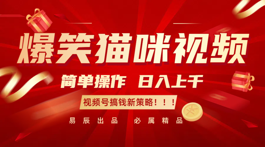 爆笑猫咪视频:简单操作,日入过千,视频号搞钱新策略!-追梦分享我爱副业网福缘论坛网赚网中创网创业网